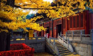 Nước nào có biên giới giáp nhiều quốc gia nhất hành tinh?