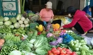 Dòng người lặng lẽ mua rau xanh tăng giá gấp bốn lần